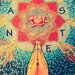 Ohm Massage & Wellness