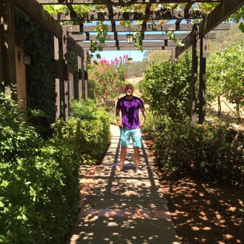 ZD Wines - Why not - Wineries Near Me - Napa, California ZD Wines - Why not - Wineries Near Me - Napa, California