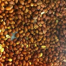 Barberville Produce - Fresh peanuts- Boiled, Fried, and Roasted.