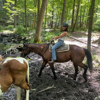 Westchester Trail Rides - Horseback Riding Near Me - Croton-on-Hudson, New York Westchester Trail Rides - Horseback Riding Near Me - Croton-on-Hudson, New York