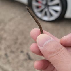 Hammerly Tires & Wheels Center - Felipe was super friendly and honest. Excellent service highly recommend to get your tires repaired through this place. Thank you!