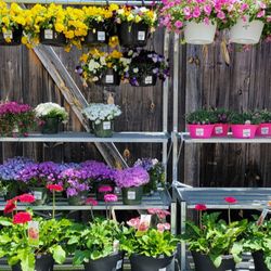 Bast Brothers Garden Center