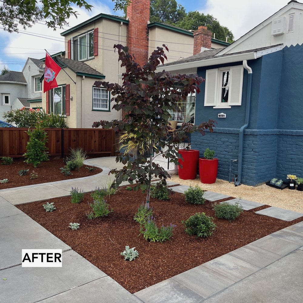 Element Garden Design - after front - Landscaping Near Me Element Garden Design - after front - Landscaping Near Me