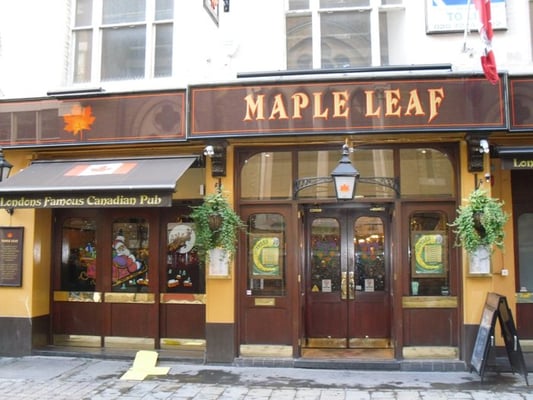 Maple Leaf by null