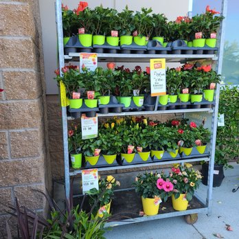 The Home Depot - Nurseries & Gardening Near Me - Grants Pass, Oregon The Home Depot - Nurseries & Gardening Near Me - Grants Pass, Oregon