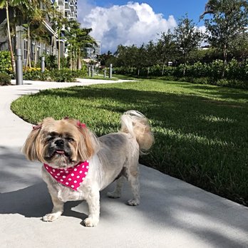 Ruby Clippers Pet Grooming - So Happy After Visiting Ruby Clippers! - Pet Groomers Near Me - Oakland Park, Florida