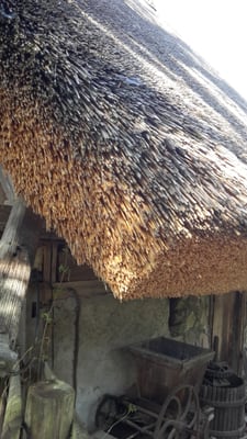 Black Forest Open Air Museum by null