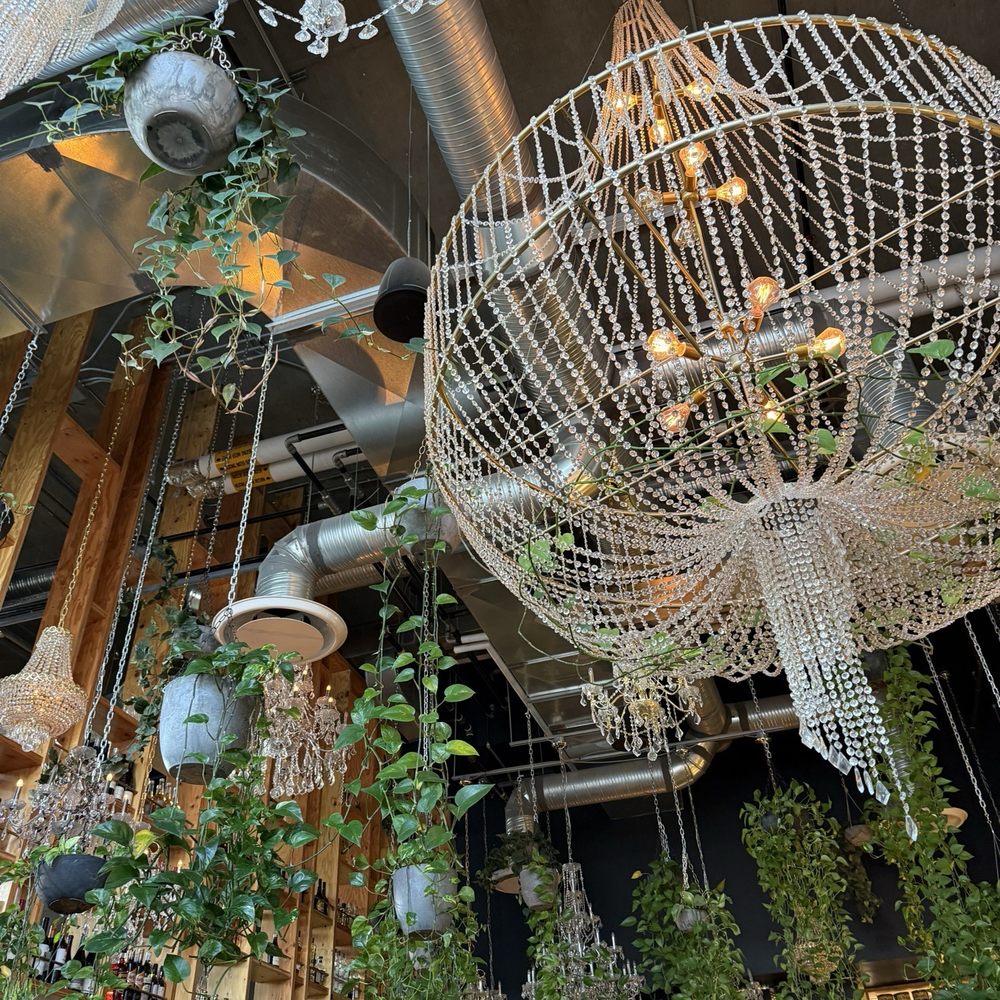 Beautiful plants and very nicely decorated Beautiful plants and very nicely decorated