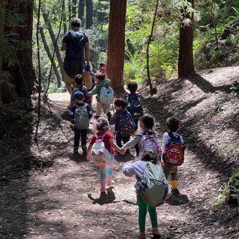 Terra Camps - Our little campers walking in the forest. - Summer Camps Near Me - San Francisco, California Terra Camps - Our little campers walking in the forest. - Summer Camps Near Me - San Francisco, California
