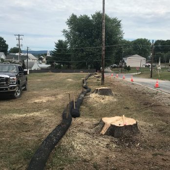 Swigart's Tree Service - Tree Services Near Me Swigart's Tree Service - Tree Services Near Me