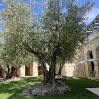 Opus One Winery - Wineries Near Me - Oakville, California Opus One Winery - Wineries Near Me - Oakville, California