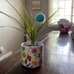 The Living Room - Birthday gift!