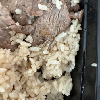 Authentic Thai Cuisine - Thai Fried Rice beef - Thai Near Me - North Merrick, New York Authentic Thai Cuisine - Thai Fried Rice beef - Thai Near Me - North Merrick, New York