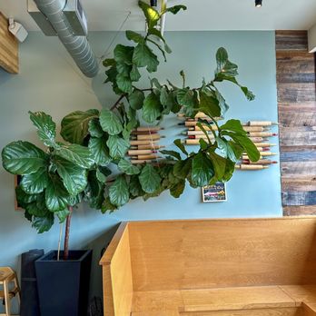 Pine State Biscuits - Reno - Breakfast & Brunch Near Me - Reno, Nevada Pine State Biscuits - Reno - Breakfast & Brunch Near Me - Reno, Nevada