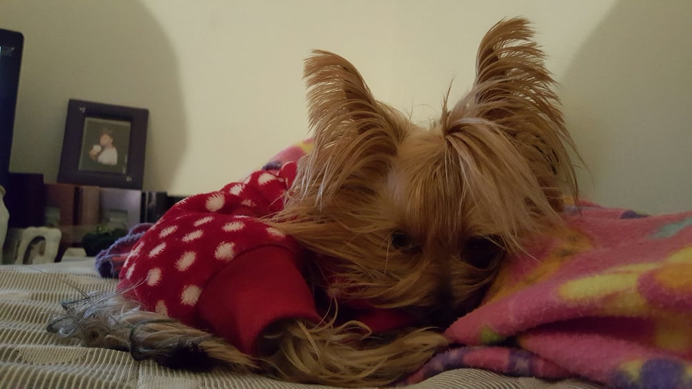 LAUREL PARK APARTMENTS BY CONAM MANAGEMENT Updated October 2024