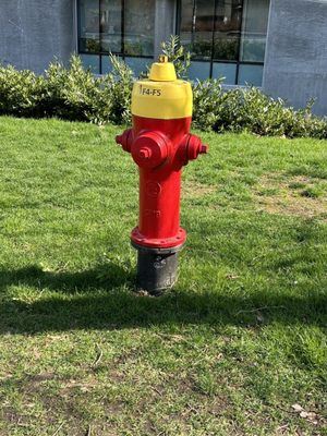 The University of British Columbia by null