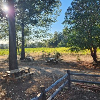 Rucksack Cellars - picnic tables in a field - Wine Tasting Room Near Me - Placerville, California