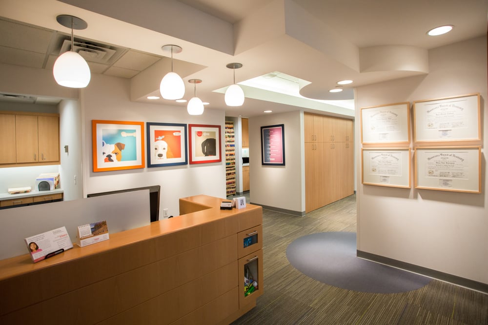 THE DENTAL SPECIALISTS Updated August 2024 19 Photos 6545 France