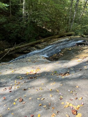 Jones Gap State Park by null