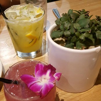 True Food Kitchen - The Citrus Skinny Margarita and Wild Orchid cocktails - New American Near Me - Boca Raton, Florida True Food Kitchen - The Citrus Skinny Margarita and Wild Orchid cocktails - New American Near Me - Boca Raton, Florida