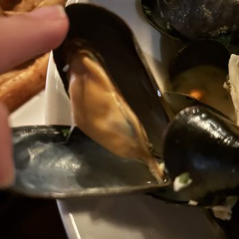 Alexandros - Close up mussel - Greek Near Me - Mount Sinai, New York Alexandros - Close up mussel - Greek Near Me - Mount Sinai, New York