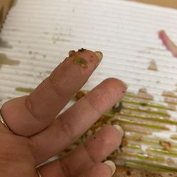Pesto Pizza