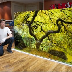 Alex Gubski Art Gallery - Peter Lik Style Prints by Alex Gubski