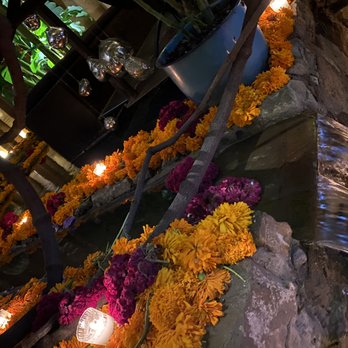 Los Danzantes - Beautiful atmosphere - Mexican Near Me - Oaxaca, OAX Los Danzantes - Beautiful atmosphere - Mexican Near Me - Oaxaca, OAX