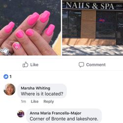 Bio-Gel Nails & Spa