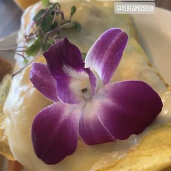 Bistro Cafe - Omelette Espartano - Breakfast & Brunch Near Me - Miami, Florida Bistro Cafe - Omelette Espartano - Breakfast & Brunch Near Me - Miami, Florida