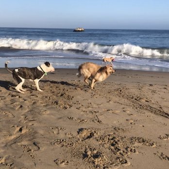Its Beach - Beaches Near Me - Santa Cruz, California Its Beach - Beaches Near Me - Santa Cruz, California