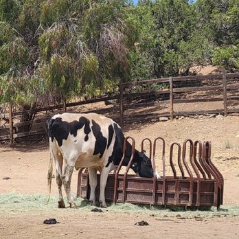 Farm Sanctuary - Animal Shelters Near Me - Acton, California Farm Sanctuary - Animal Shelters Near Me - Acton, California