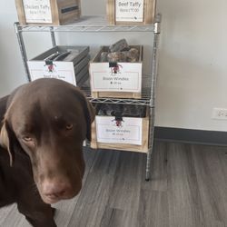 Good Dog - Reggie wants his Maggie's Munchies Dog Treats!!