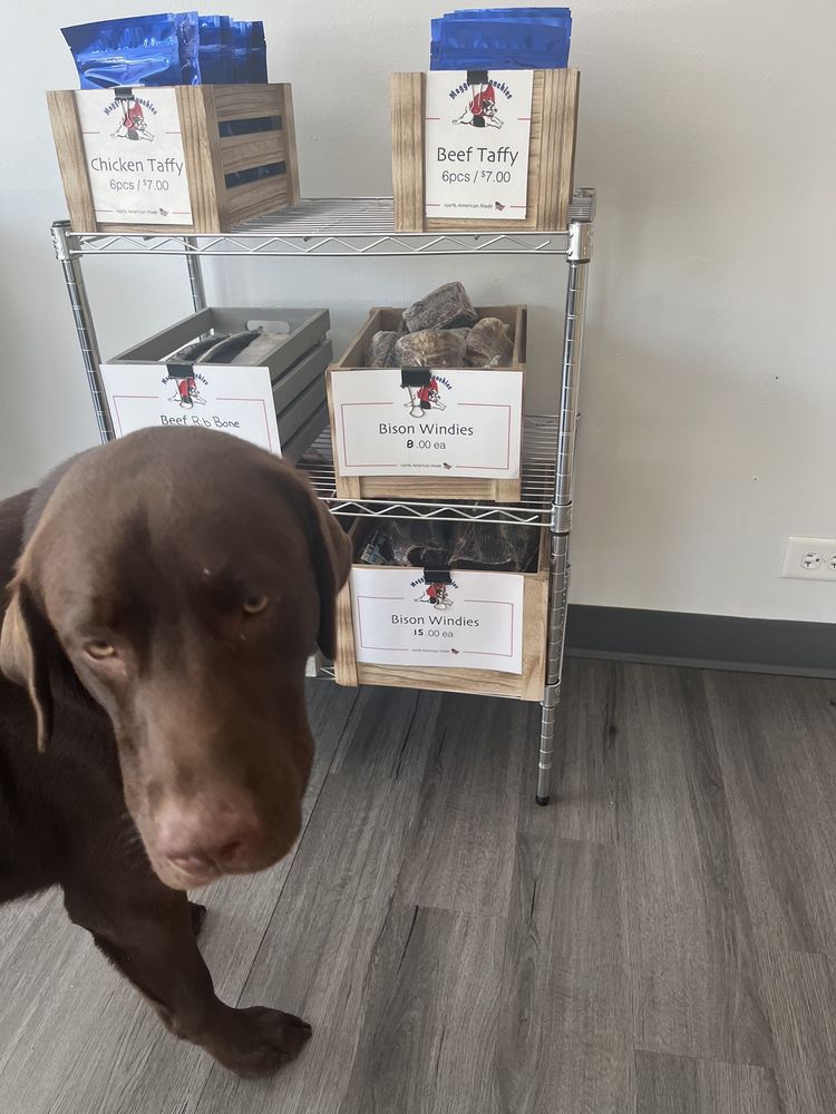 Good Dog - pet boarding facility in Lombard, IL