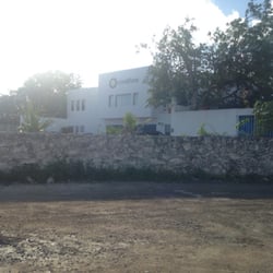 Colegio creativos