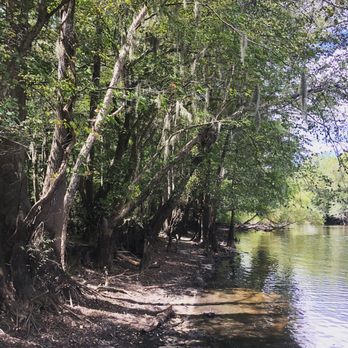 Colleton State Park Office - Edisto River access - RV Parks Near Me - Walterboro, South Carolina
