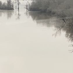 Felsenthal National Wildlife Refuge - Felsenthal National Wildlife Refuge is where the Ouachita & Saline Rivers merge.