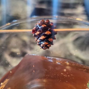 The Roosevelt Room - Candied baby pine cone garnish - Steakhouses Near Me - Troy, New York The Roosevelt Room - Candied baby pine cone garnish - Steakhouses Near Me - Troy, New York