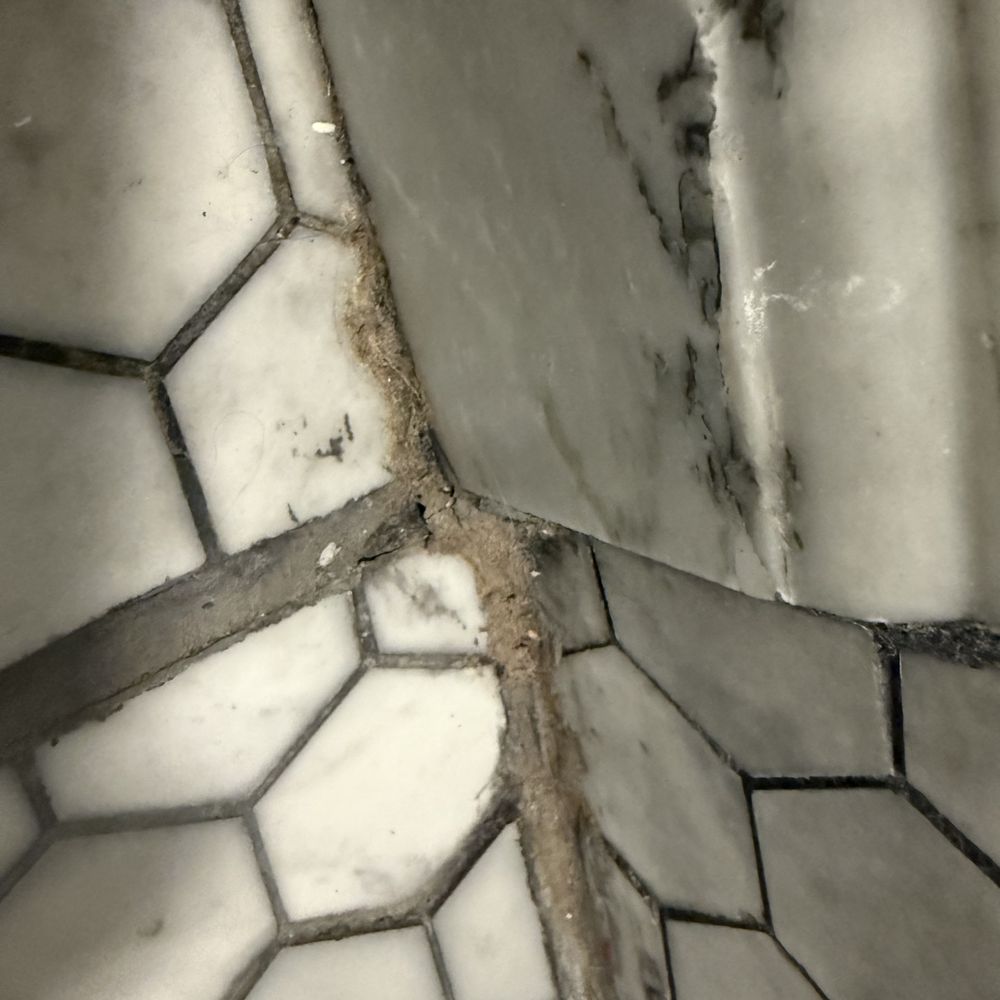 Pure Property Management - Gross bathroom in rental!!  Was this ever clean? - Property Management Near Me - Lexington, Kentucky