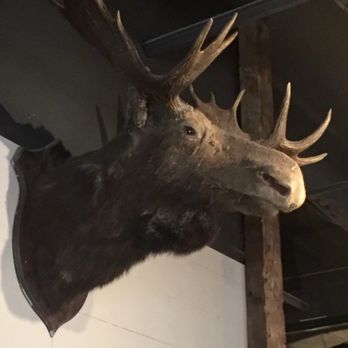 Forager Brewery - You ever get the feeling that something is watching you - Breweries Near Me - Rochester, Minnesota