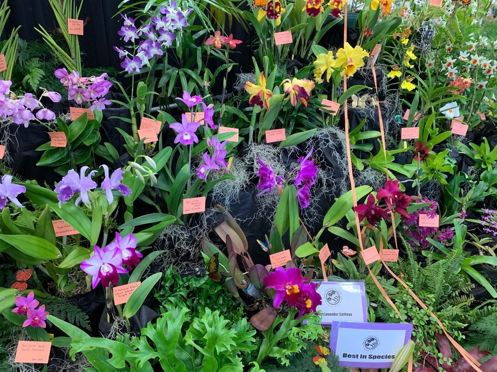 EWA ELEMENTARY SCHOOL Updated October 2024 118 Photos 911280