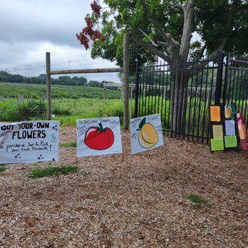 Brooksby Farm - Pick Your Own Farms Near Me - Peabody, Massachusetts