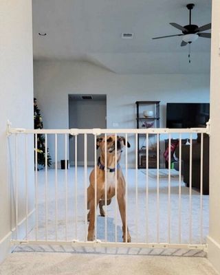 Infant House of Dallas