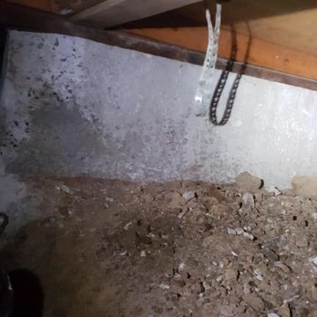 Attic Pros - Pest Control Near Me - Oakland, California
