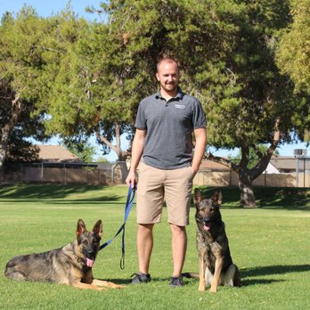 Towse K9 Solutions - Pet Training Near Me Towse K9 Solutions - Pet Training Near Me