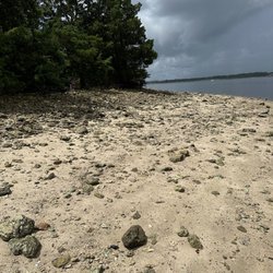 Shark Tooth Island
