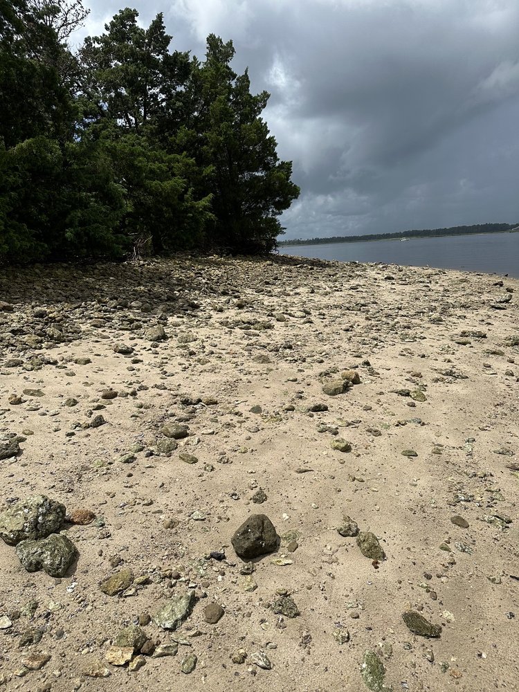 Shark Tooth Island Logo