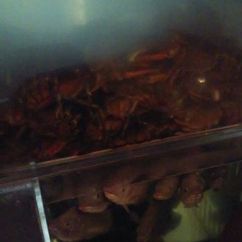 Dragon City - Live fish & lobster - Seafood Near Me - Hollywood, Florida Dragon City - Live fish & lobster - Seafood Near Me - Hollywood, Florida