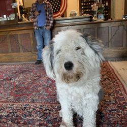 Historic Union Hotel - Greeter: Rosie