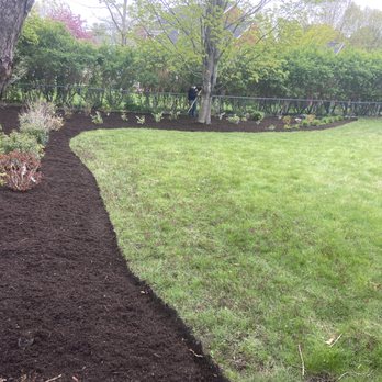 DD Elite Landscaping - a garden with a tree and mulch - Landscaping Near Me DD Elite Landscaping - a garden with a tree and mulch - Landscaping Near Me